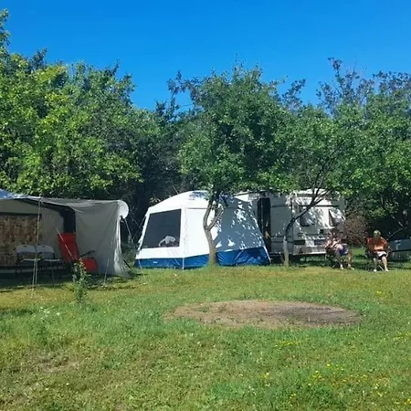 Offcamping Bobicesti - Land For Camping, With Water Source And Without Electricity -Doar Teren Pentru Campare Cu Sursa De Apa , Fara Electricitate ! Self Check-In ! Exterior photo