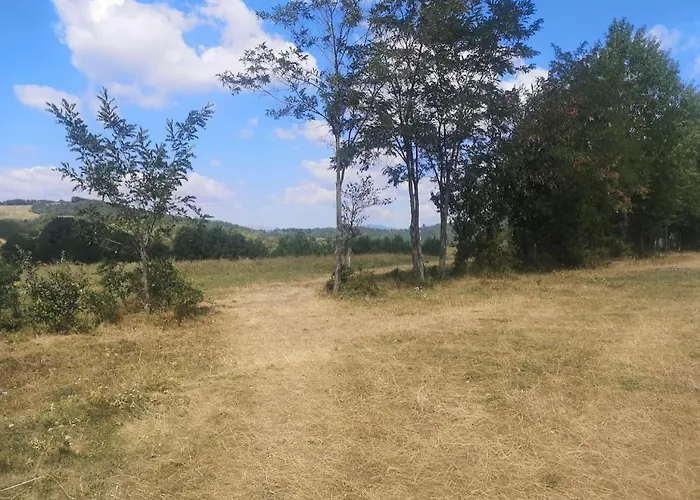 Offcamping Bobicesti - Land For Camping, With Water Source And Without Electricity -Doar Teren Pentru Campare Cu Sursa De Apa , Fara Electricitate ! Self Check-In !