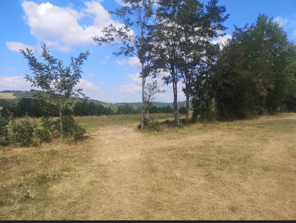 Offcamping Bobicesti: Rustic With Water Source Campsite *