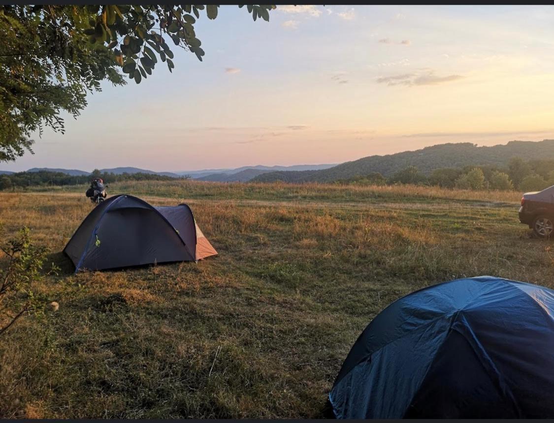 Offcamping Bobicesti: Rustic With Water Source * Bobicesti