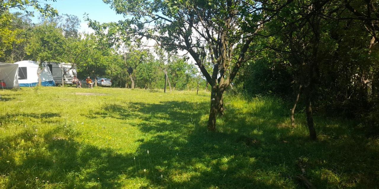 Campsite Offcamping Bobicesti: Rustic With Water Source *